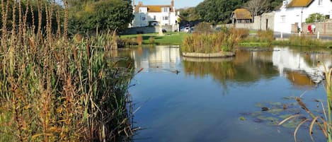 A calm pond with reeds, a white house, and a stone building in the background.