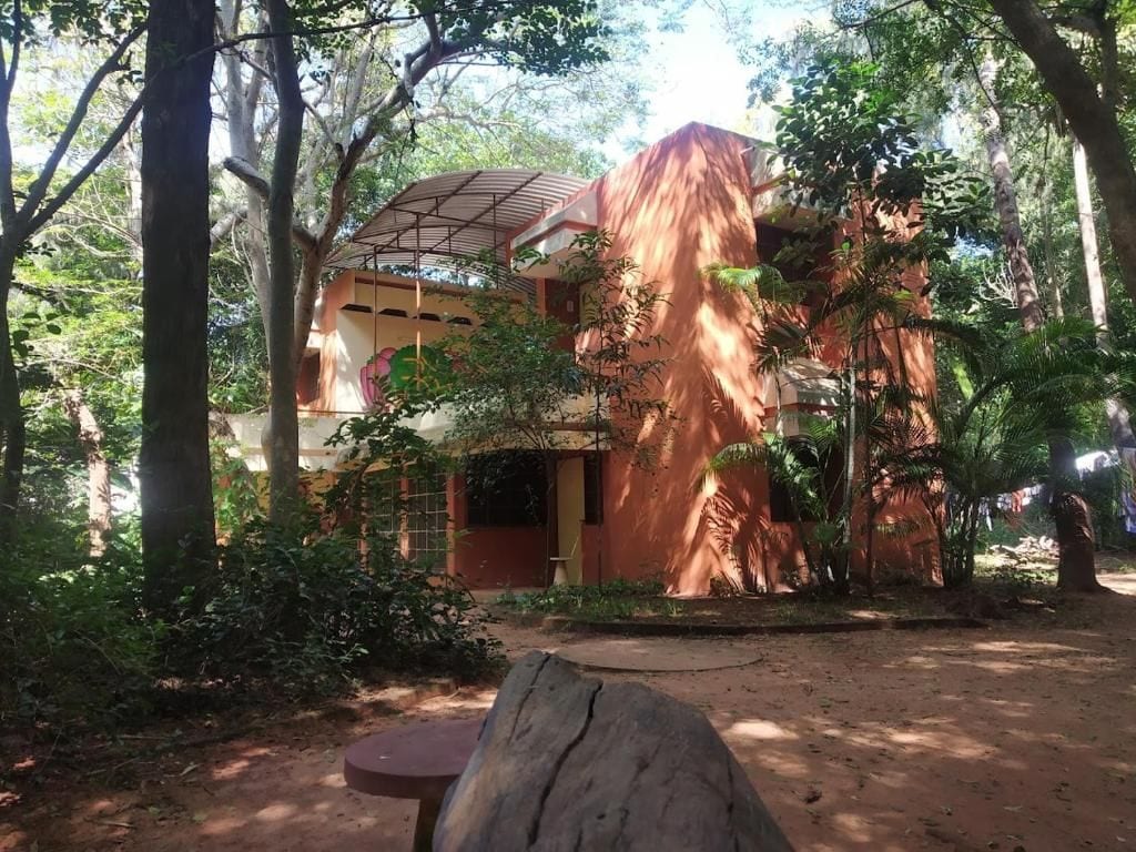 Un edificio con un diseño arquitectónico singular, rodeado de exuberante vegetación.
