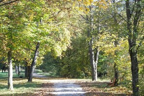 Un sentier qui traverse un parc, avec des arbres de chaque côté.