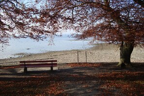 A bench under a tree by a pebbled beach. - Apartment in Lindau with swimming pool (Lindau)