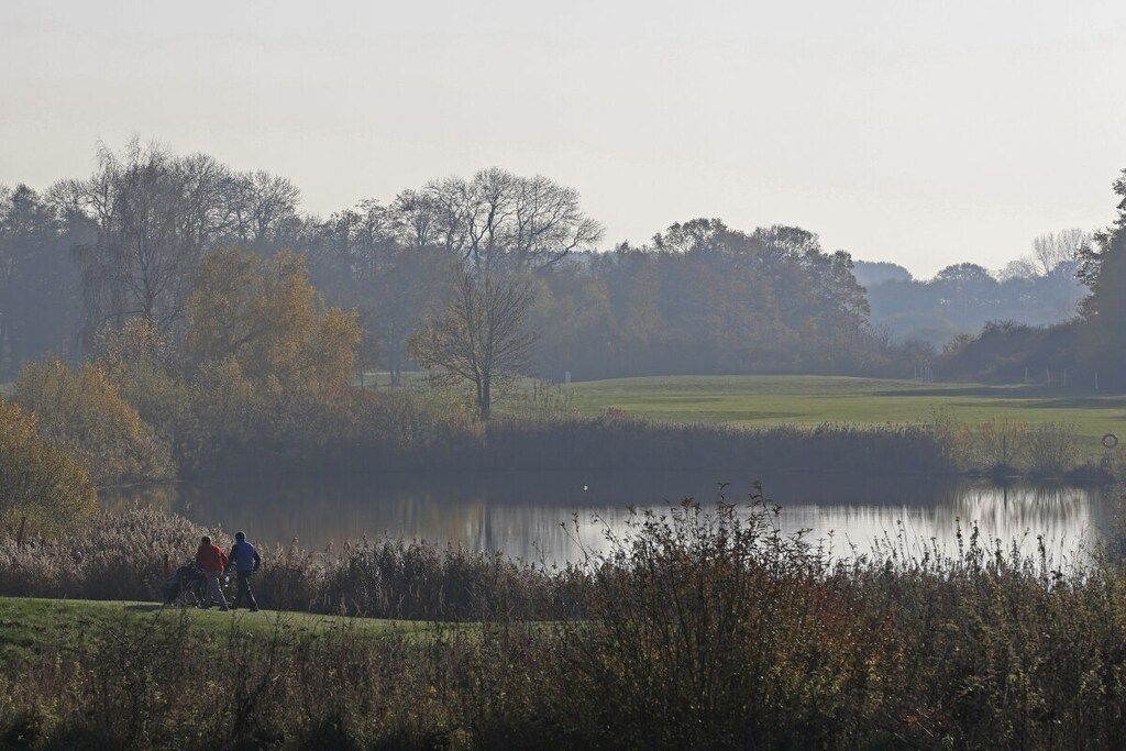 Rauhallinen maisema järven rannalla, josta avautuu selkeä näkymä vedelle, puille ja kauempana sijaitsevalle golfkentälle.