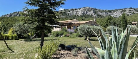 A rural landscape with a house, a tree, and a mountain in the background.