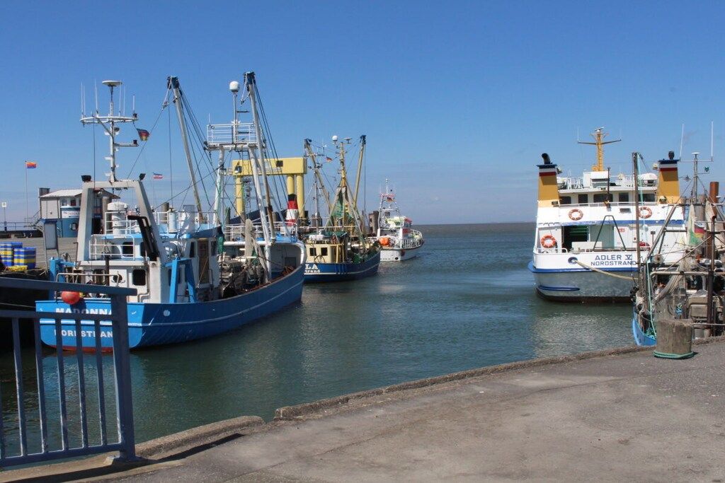 Un port où de nombreux bateaux sont amarrés, un ciel dégagé et une eau calme.