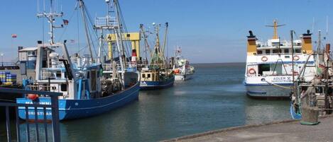 A harbor with multiple boats docked, a clear sky, and calm water.
