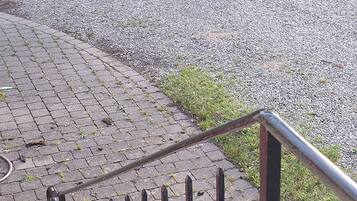 Ein gepflasterter Weg führt zu einem Haus mit einem Metallzaun im Vordergrund.