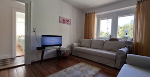 A living room with a television, sofa, and a rug.
