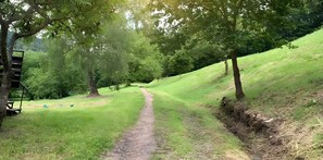 Un sentier de terre dans un parc, avec des arbres et un banc.
