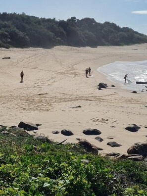 A sandy beach with scattered rocks and greenery in the foreground. - Alomsee 20 Ramsgate 4 bedroom apartment (Margate)