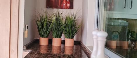 A kitchen counter with a granite surface, three potted plants, a salt shaker, and a wooden cutting board.
