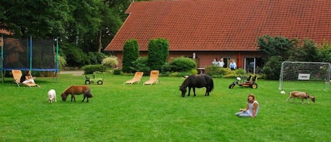 A grassy area with a building in the background, a soccer goal, and people sitting on chairs.
