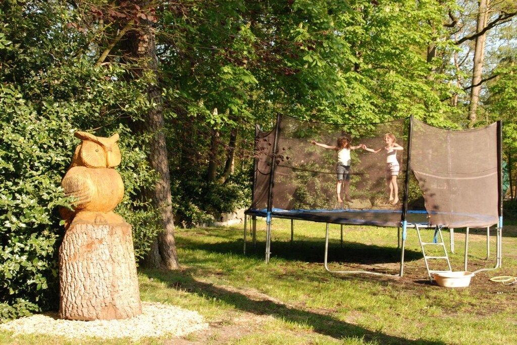 Eine Eule-Skulptur, ein Trampolin und ein Baum auf einer Wiese.