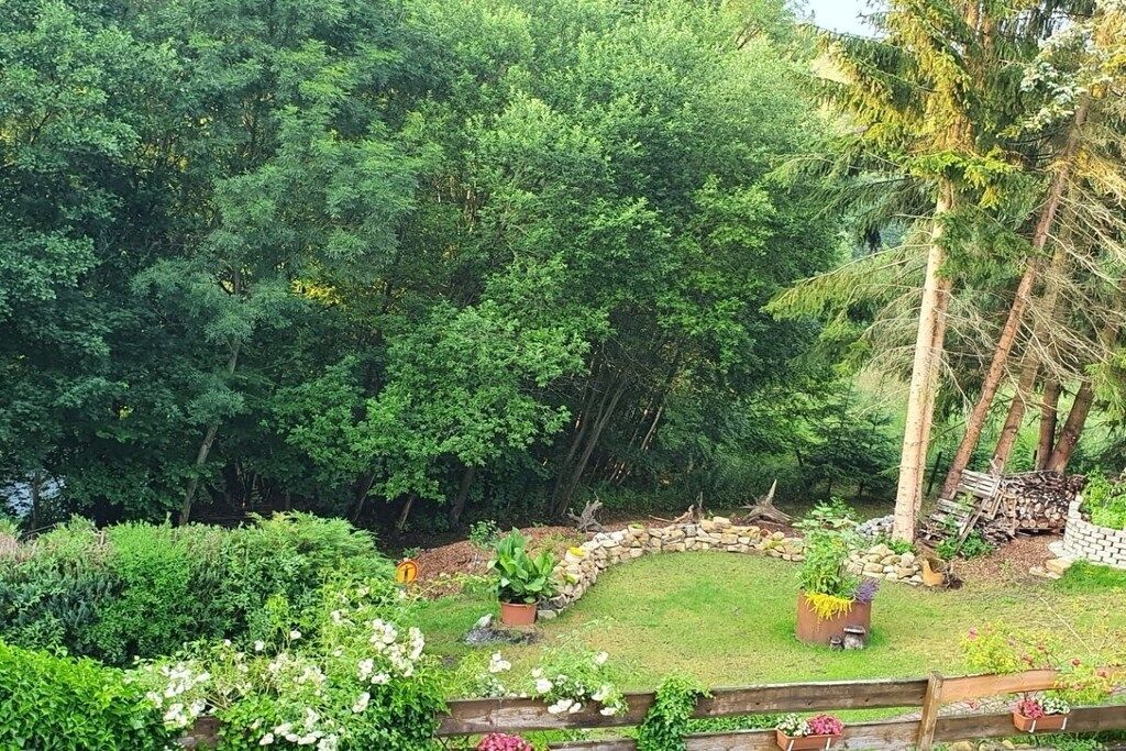 Un exuberante jardín con diversas plantas y un sendero de piedra.