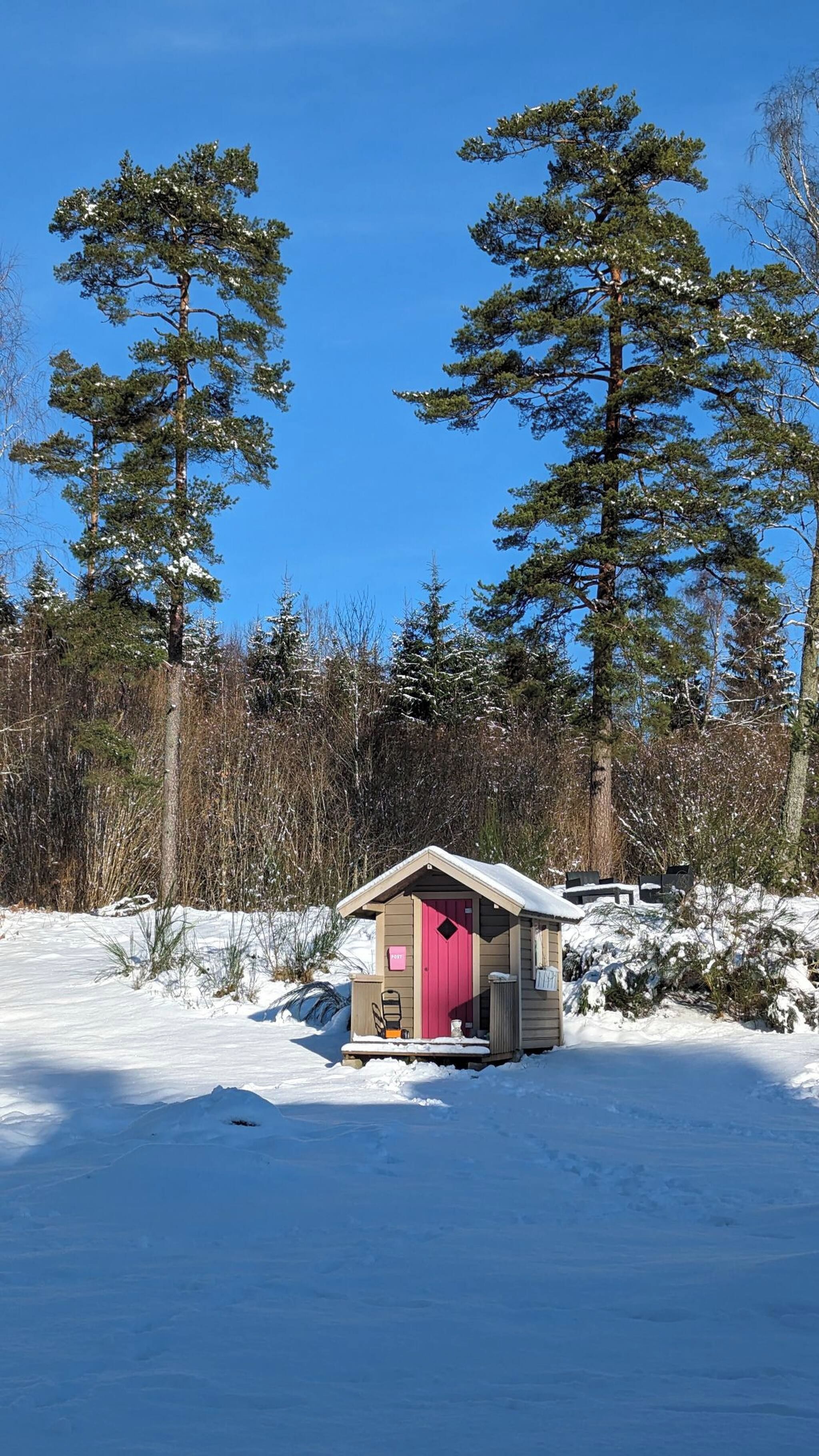A small wooden cabin with a pink door, surrounded by snow-covered ground and tall pine trees.