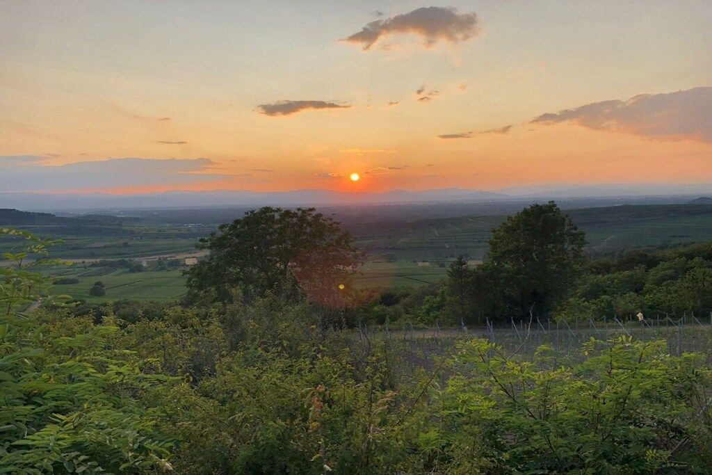 A landscape with a sunset, trees, and a fence.
