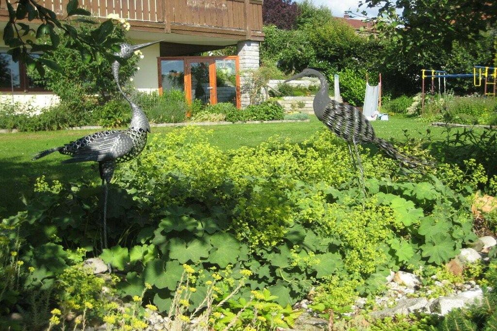 Deux oiseaux dans un jardin, avec une maison en arrière-plan.