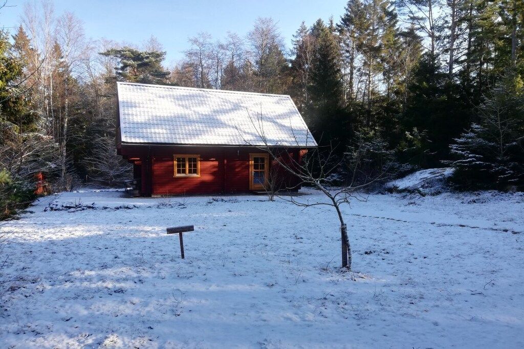 A cabin with a sloped roof, surrounded by a snowy landscape and dense forest.
