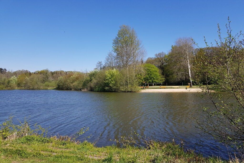 A calm lake with a picnic area and trees in the background.