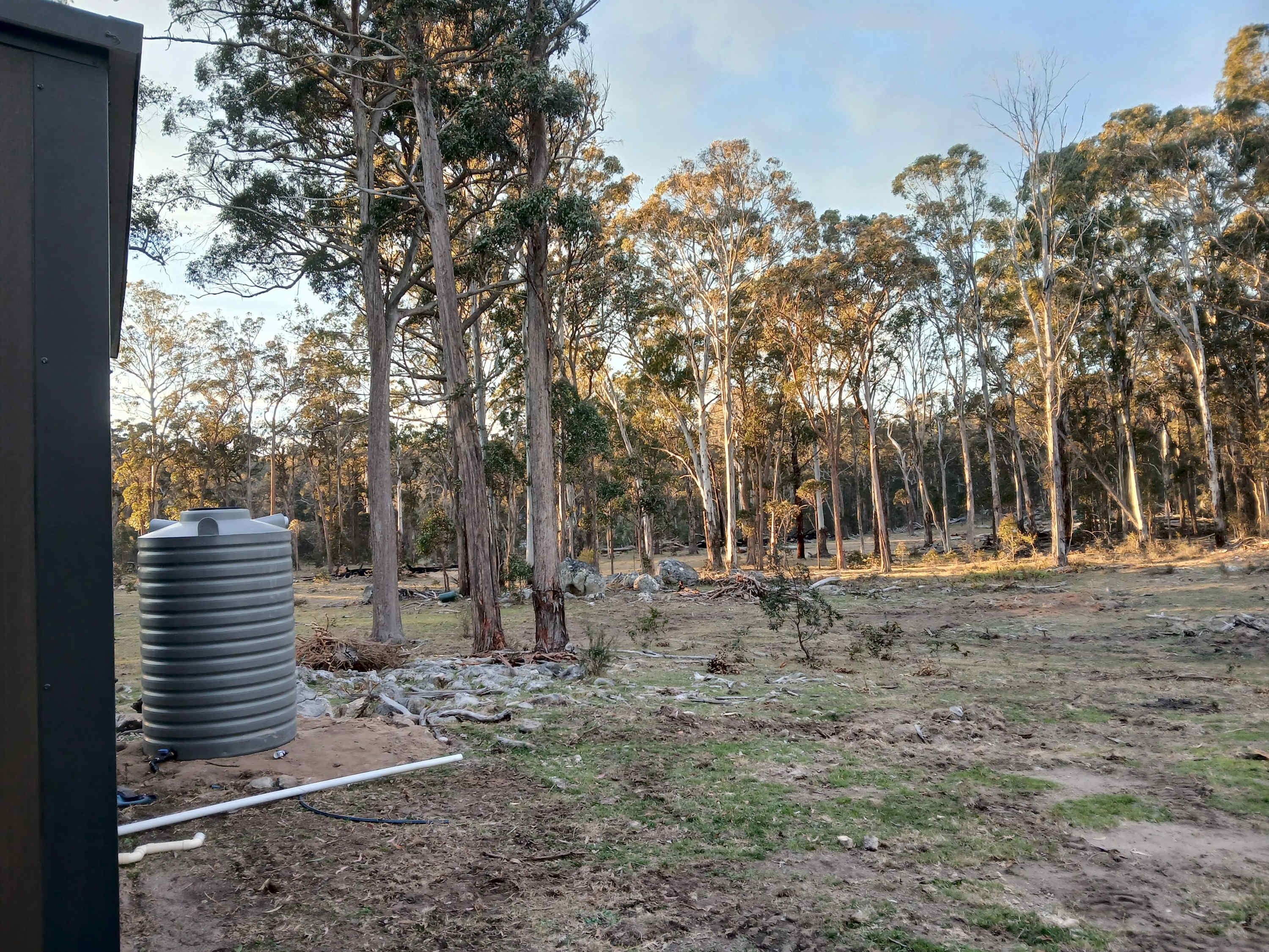 A natural landscape with tall trees and a water tank.