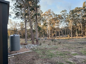 A natural landscape with tall trees and a water tank.