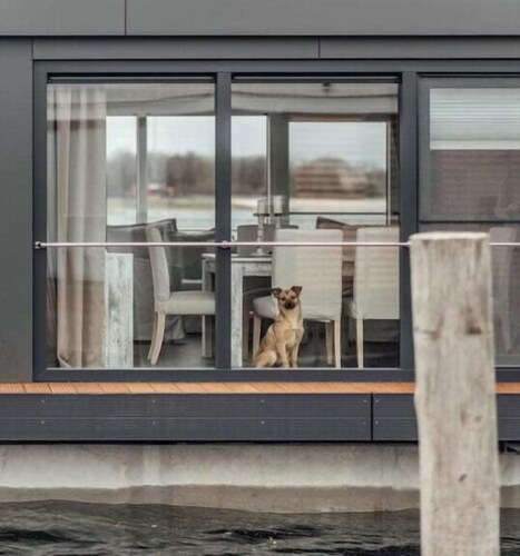 Houseboat Water Dream