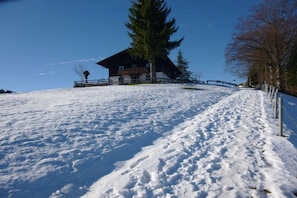 Uma encosta coberta de neve, um edifício de madeira e uma grande árvore perene.