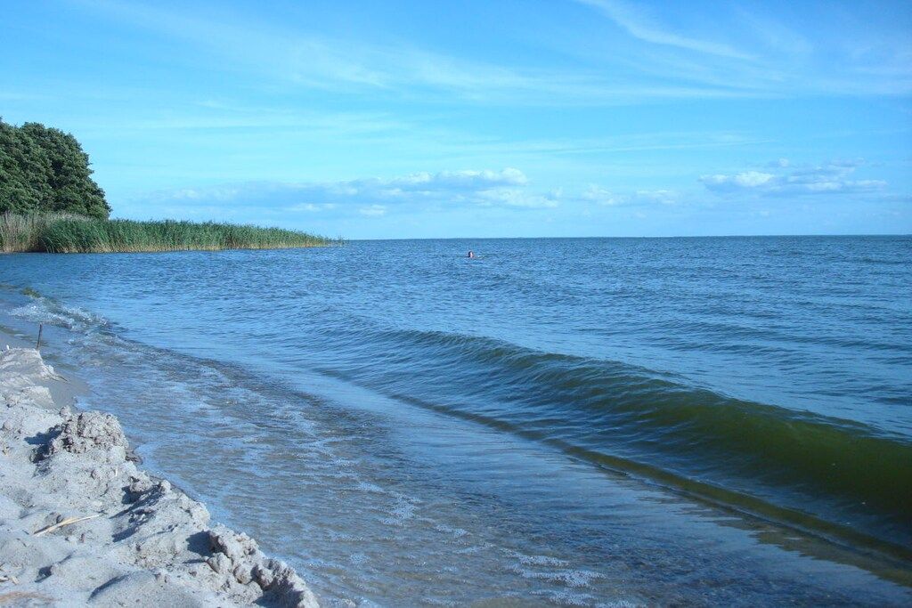 A beach with clear water, a distant swimmer, and a forested area.