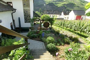A vineyard with a staircase leading to a building, surrounded by greenery and a hillside in the background. - Rivaner with roof terrace (Burg)