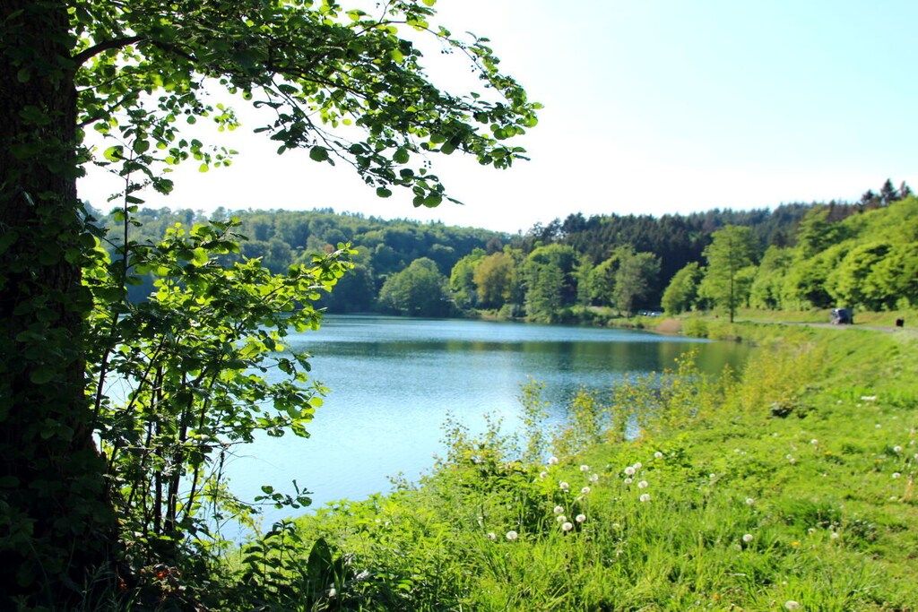 A lake surrounded by lush greenery and trees.