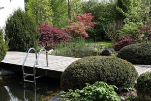 Ein hölzerner Steg führt in einen Teich, mit einer Metallleiter, umgeben von verschiedenen Sträuchern und Bäumen.