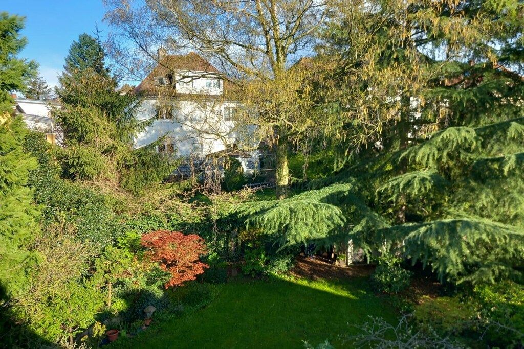 Un jardin où l’on trouve une variété de plantes et d’arbres, une pelouse, et un bâtiment blanc avec un toit en pente, visible au fond.