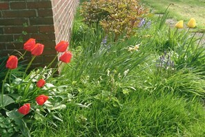 Un jardin avec des tulipes rouges, de l’herbe verte et diverses autres plantes.