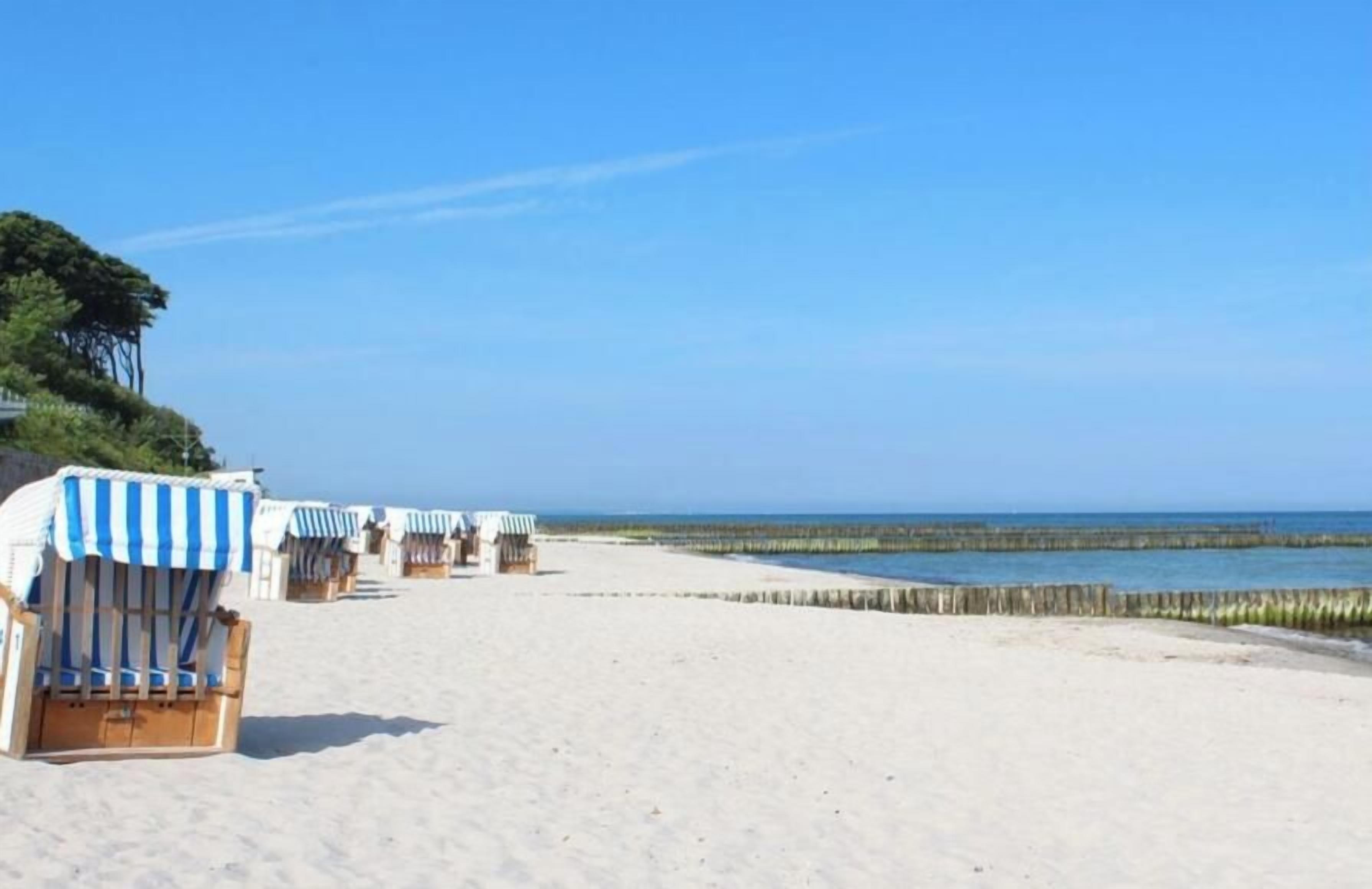 A beach with rows of beach chairs and umbrellas, a sandy shore, and a clear sky.