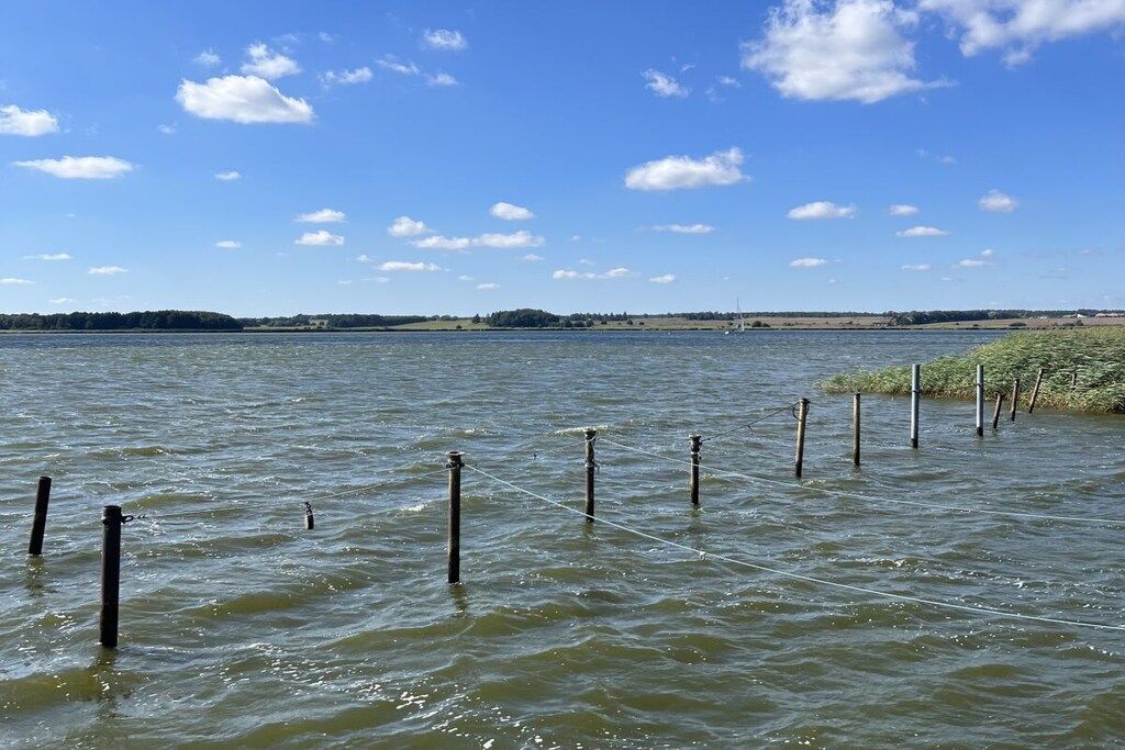 A calm body of water with wooden posts and ropes, a clear sky, and distant land.