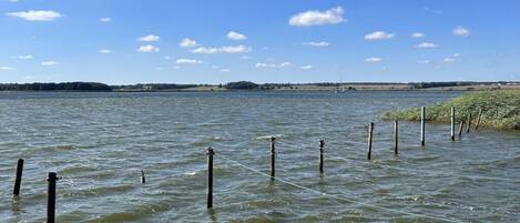 A calm body of water with wooden posts and ropes, a clear sky, and distant land.