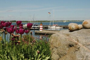 A marina with boats, a lighthouse, and tulips in the foreground. - Holiday apartment with 1 bedroom (Stexwig)