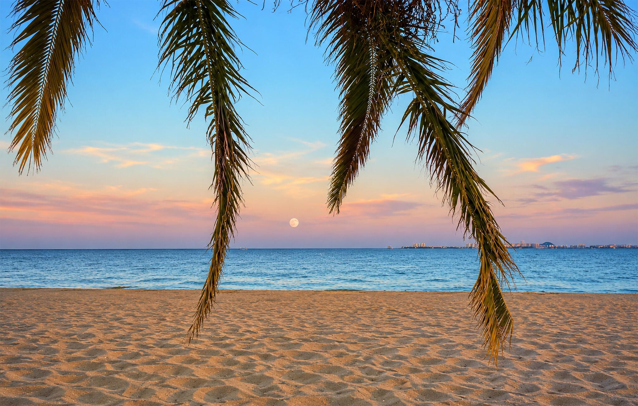 Une plage bordée de palmiers, avec la silhouette d’une ville qui se dessine à l’horizon.