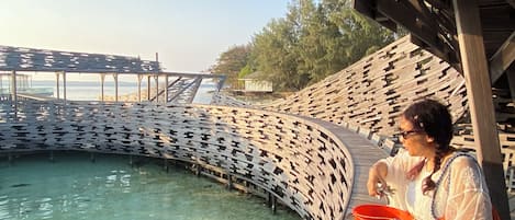 A wooden deck with a curved railing overlooking a clear water body.