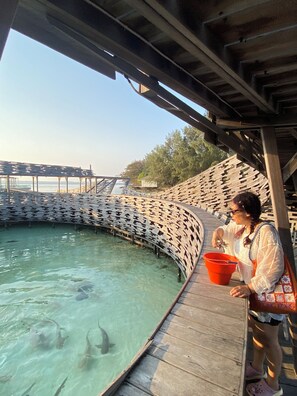 A wooden deck with a curved railing overlooking a clear water body.