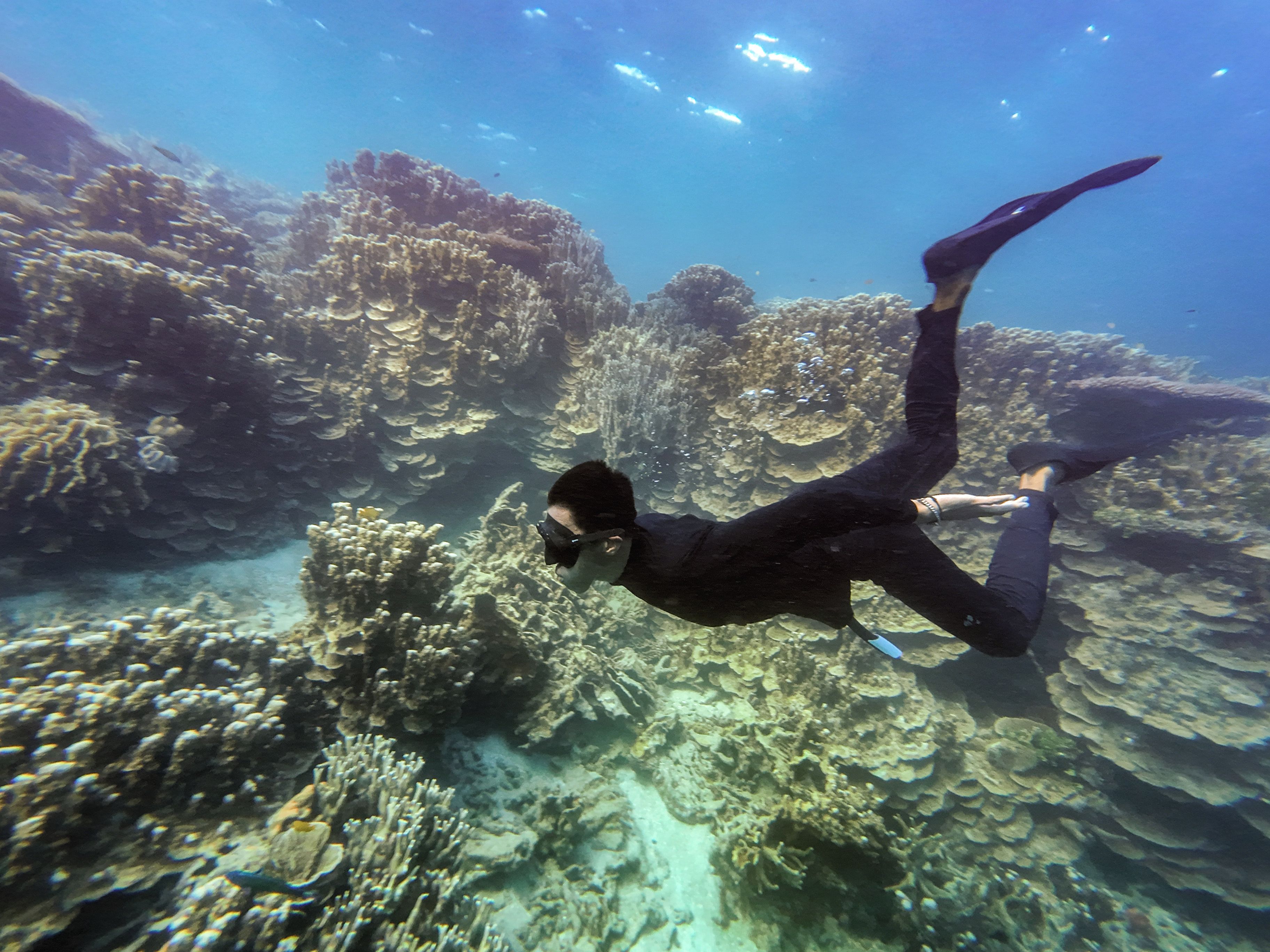 A diver underwater with coral formations.