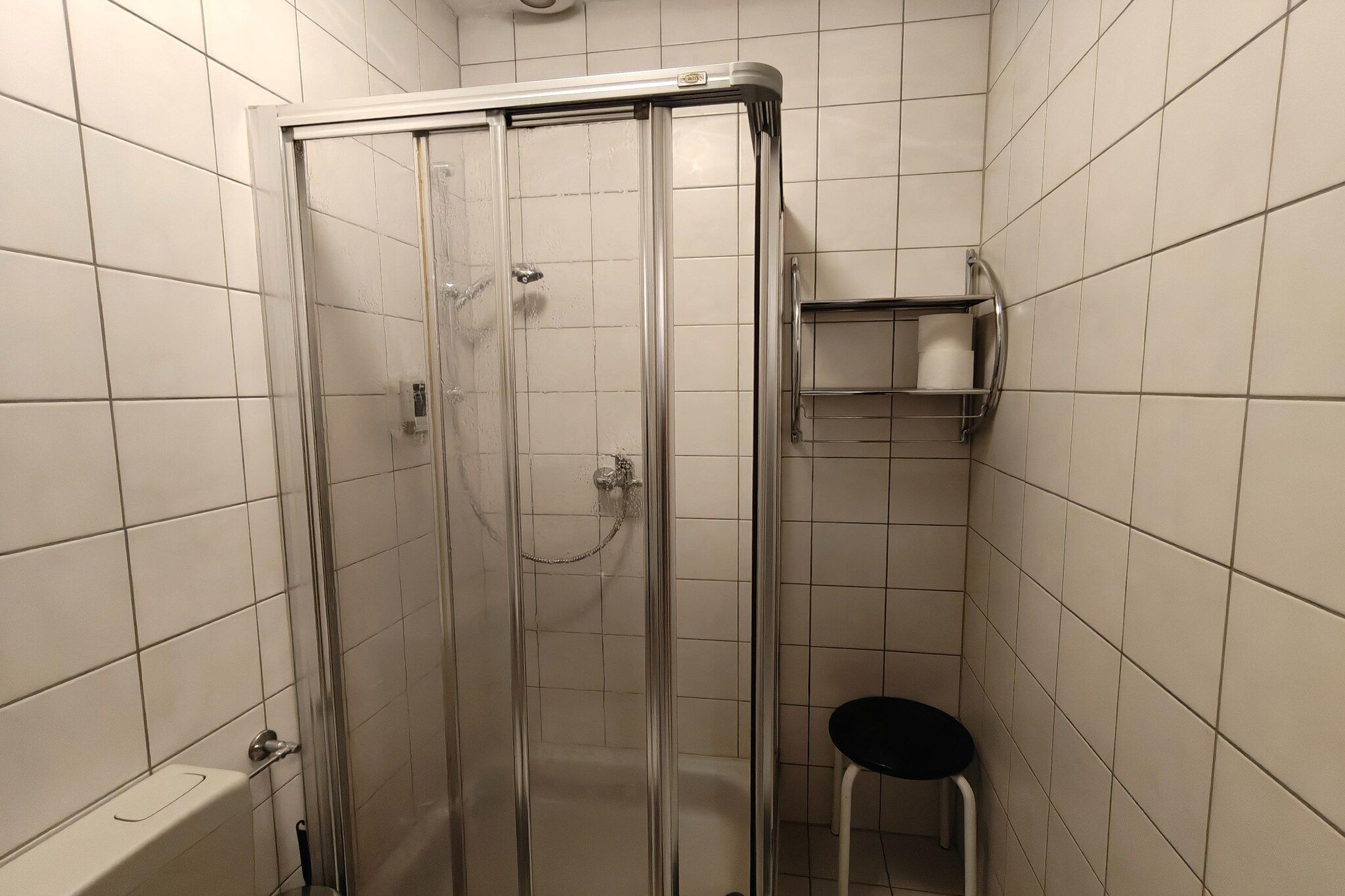 Eine Duschkabine mit Glastür, eine Toilette und ein kleines Regal mit einer Toilettenpapierrolle.