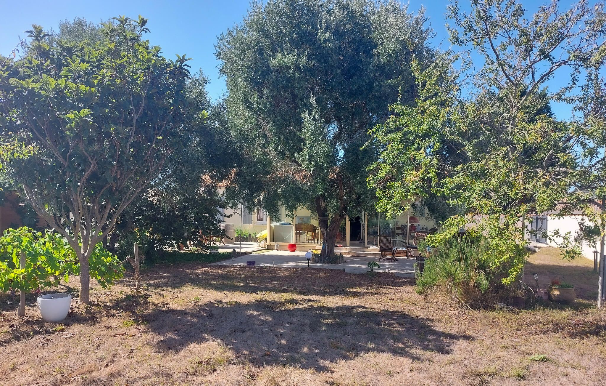 Un espace extérieur avec des arbres, un coin salon et un bâtiment en arrière-plan.