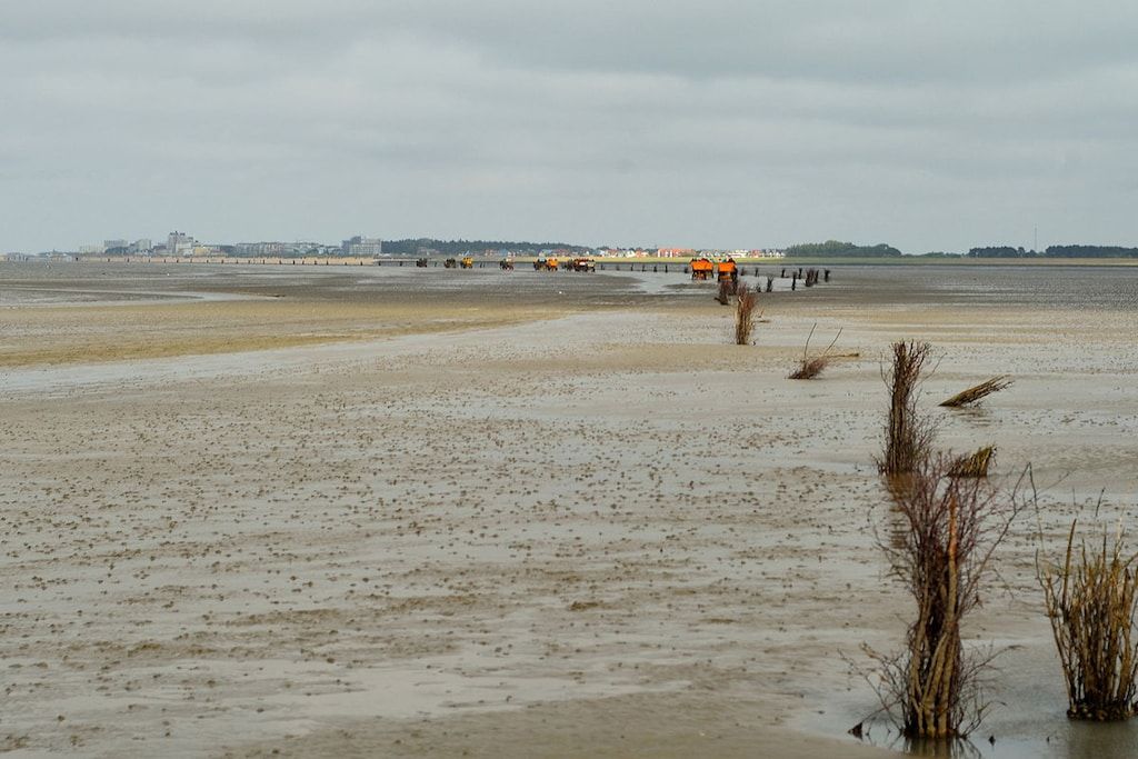 Eine Küstenlandschaft mit einer Brücke und Industrieanlagen im Hintergrund.