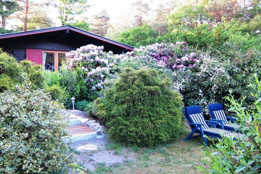 Een chalet met een rood dak, omringd door dichte struikgewas en bloeiende planten.