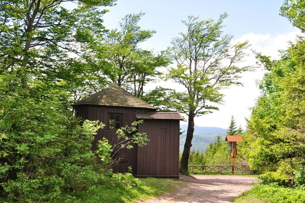 A rustic wooden cabin surrounded by dense greenery and a clear sky.