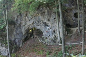 Eine natürliche Felsformation mit einer Höhle, umgeben von Bäumen.