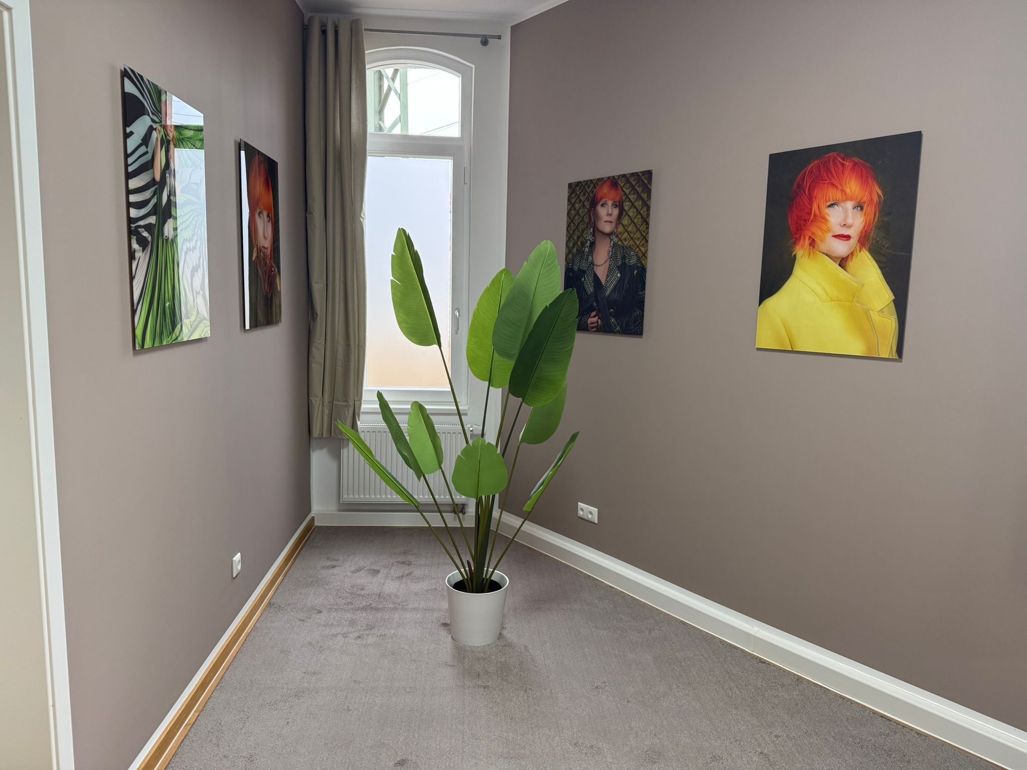 Ein Flur mit einem Blumentopf, einer Heizung und Bildern an den Wänden.