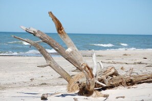 A beach scene with driftwood and waves. - Holiday home in Bodstedt with swimming pool (Bodstedt)