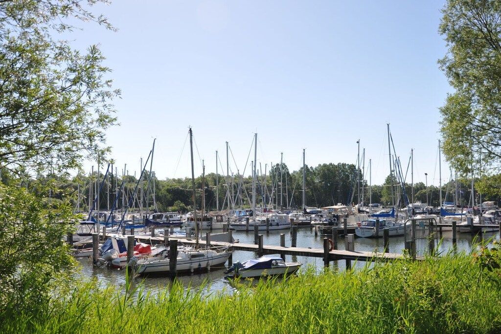 A marina with multiple boats docked at wooden piers, surrounded by greenery.