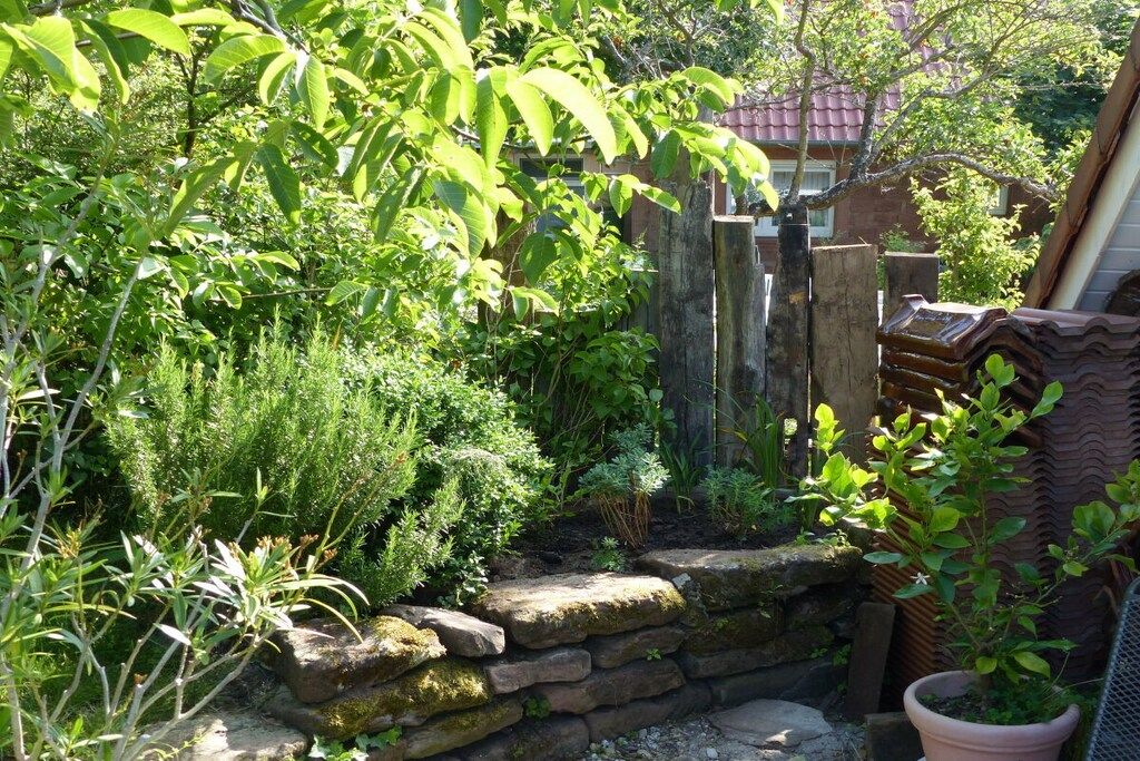 Un jardín con muro de piedra, plantas diversas y cerca de madera.