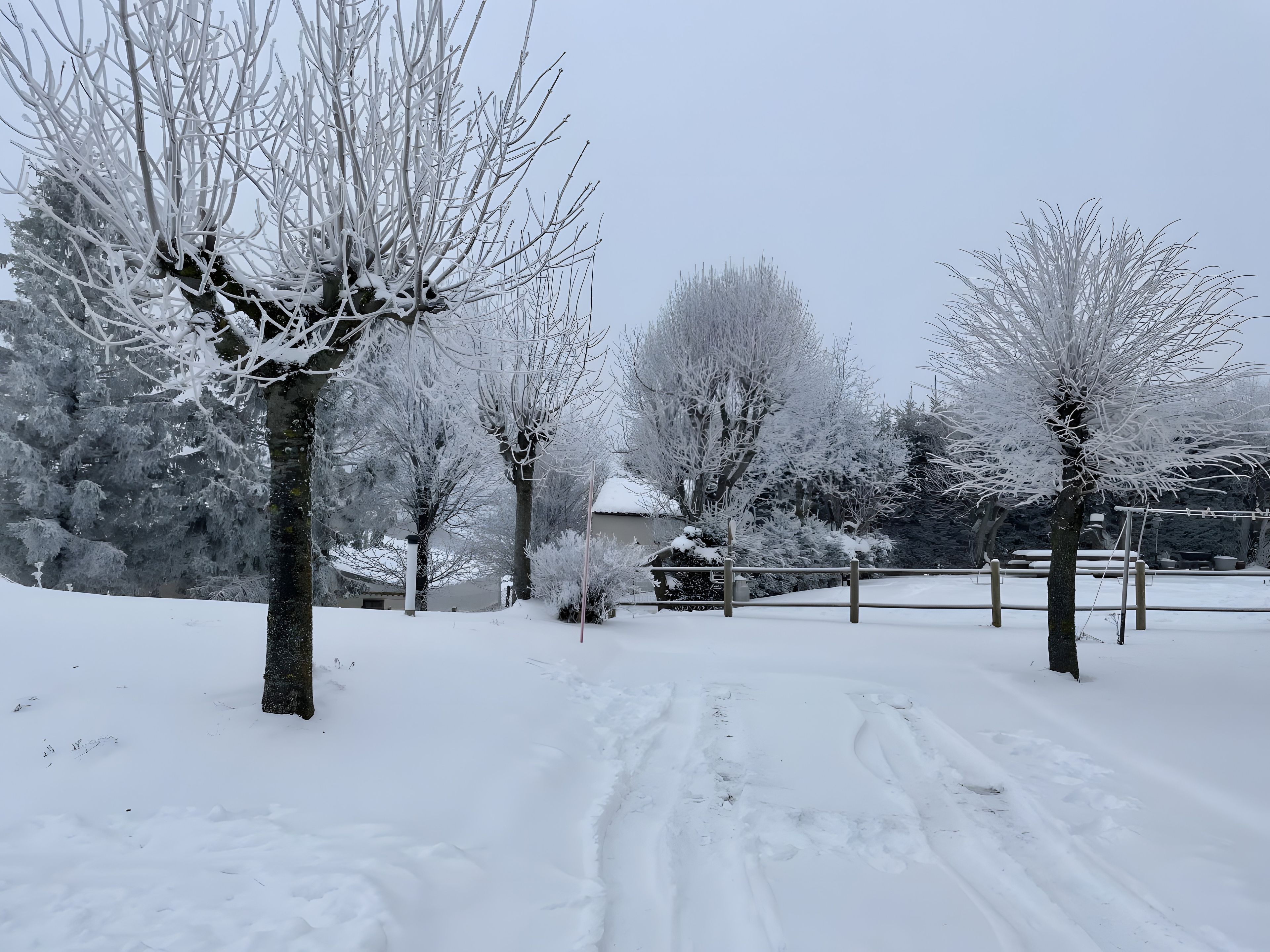 A snow-covered landscape with bare trees and a clear path.